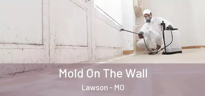  Mold On The Wall Lawson - MO