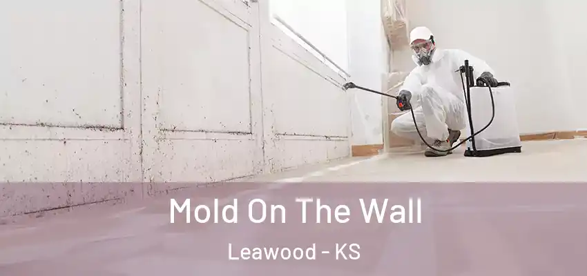  Mold On The Wall Leawood - KS