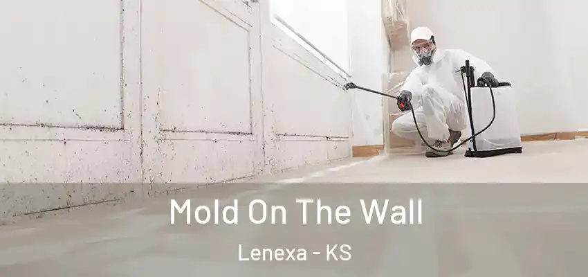  Mold On The Wall Lenexa - KS