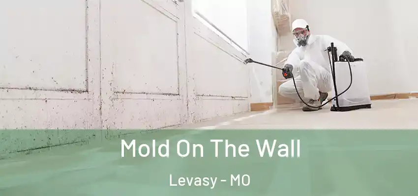  Mold On The Wall Levasy - MO