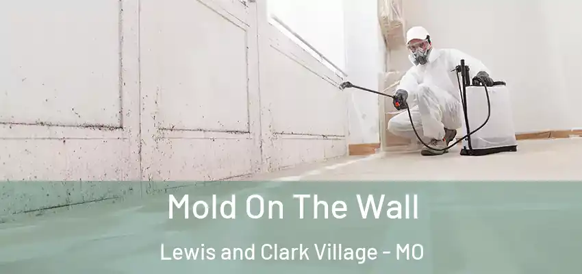  Mold On The Wall Lewis and Clark Village - MO