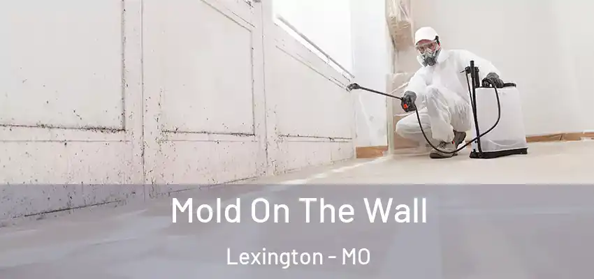 Mold On The Wall Lexington - MO