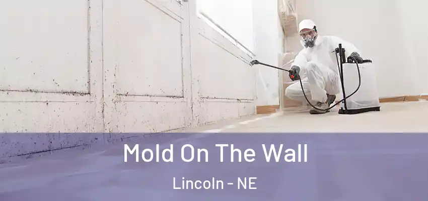  Mold On The Wall Lincoln - NE