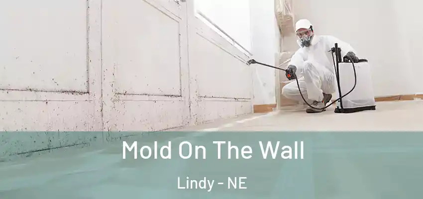  Mold On The Wall Lindy - NE
