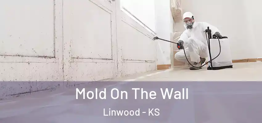Mold On The Wall Linwood - KS
