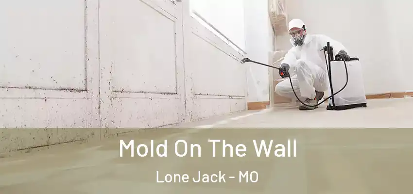  Mold On The Wall Lone Jack - MO