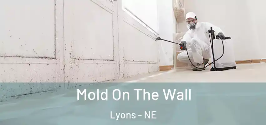 Mold On The Wall Lyons - NE