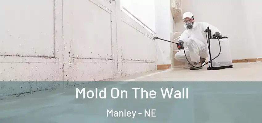  Mold On The Wall Manley - NE
