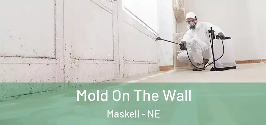  Mold On The Wall Maskell - NE