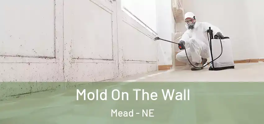  Mold On The Wall Mead - NE