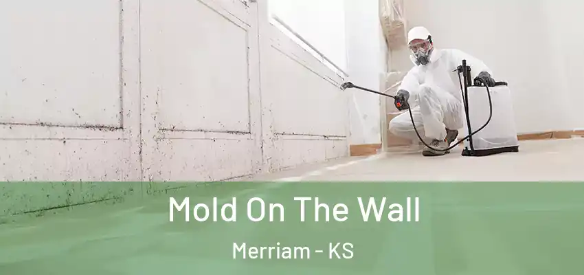 Mold On The Wall Merriam - KS