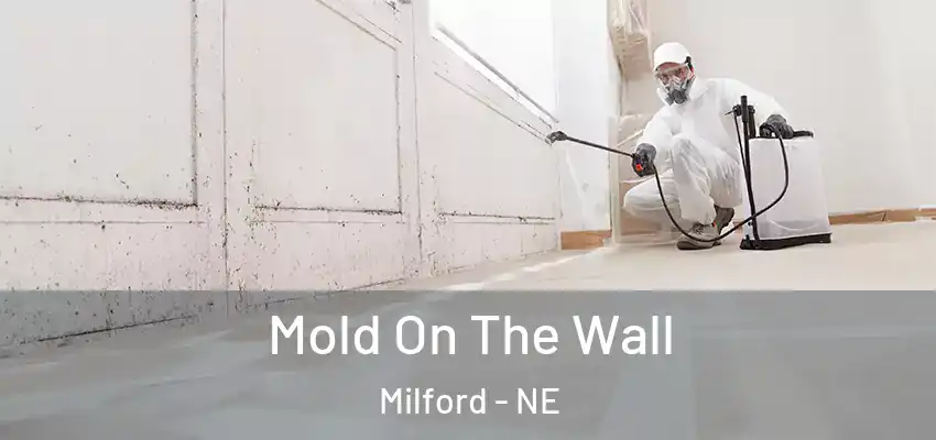  Mold On The Wall Milford - NE