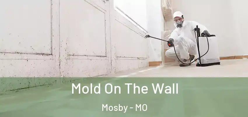  Mold On The Wall Mosby - MO