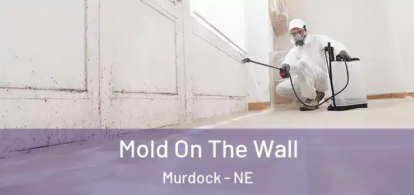  Mold On The Wall Murdock - NE