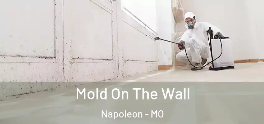  Mold On The Wall Napoleon - MO