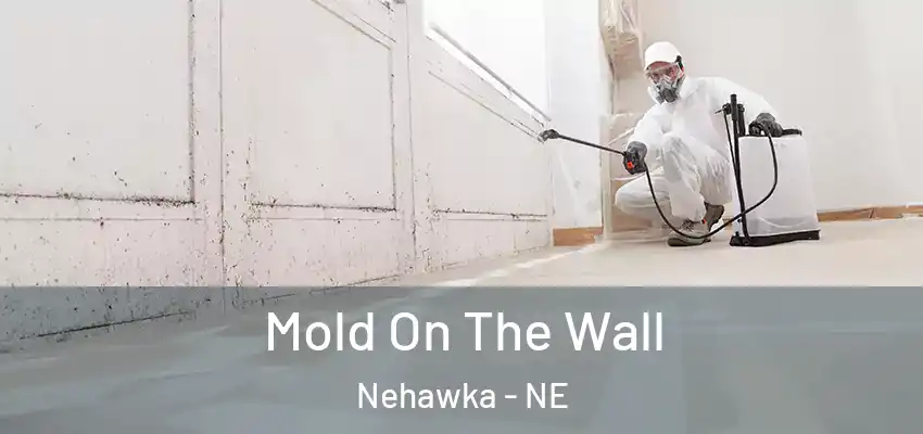  Mold On The Wall Nehawka - NE