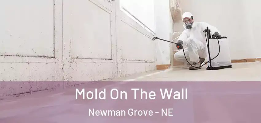  Mold On The Wall Newman Grove - NE