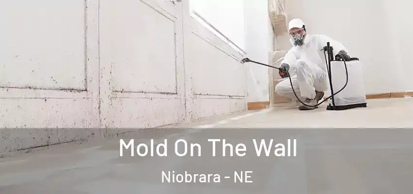  Mold On The Wall Niobrara - NE