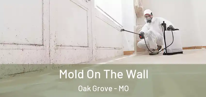 Mold On The Wall Oak Grove - MO
