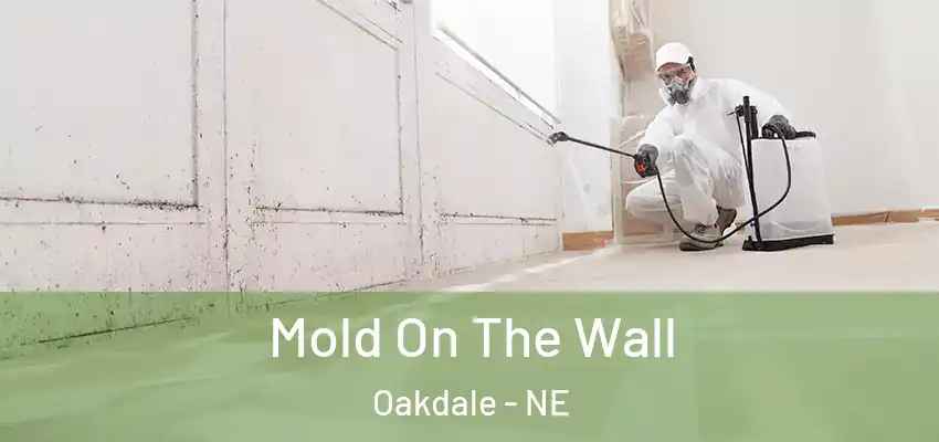  Mold On The Wall Oakdale - NE
