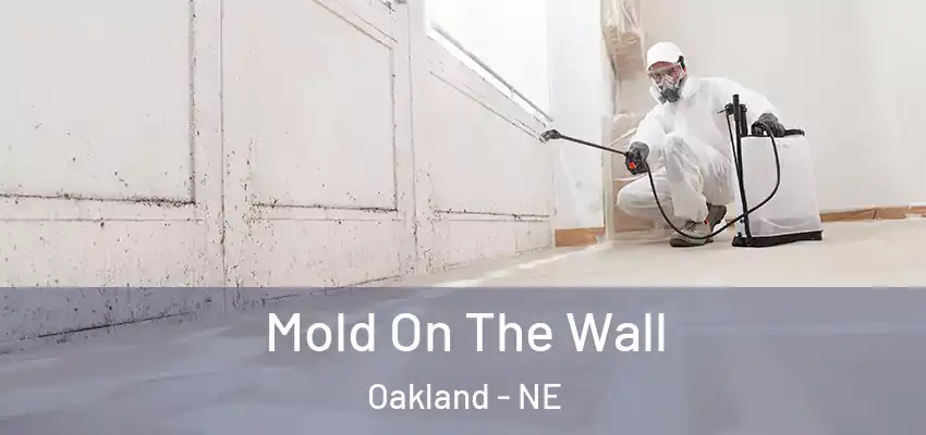  Mold On The Wall Oakland - NE