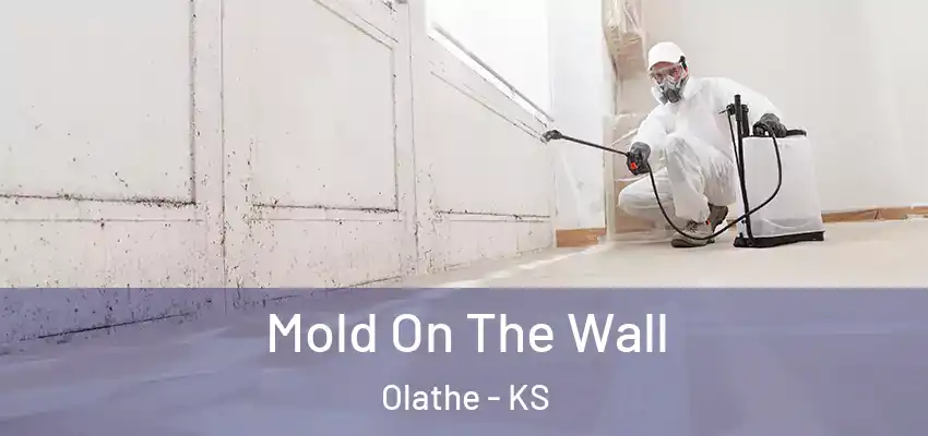  Mold On The Wall Olathe - KS