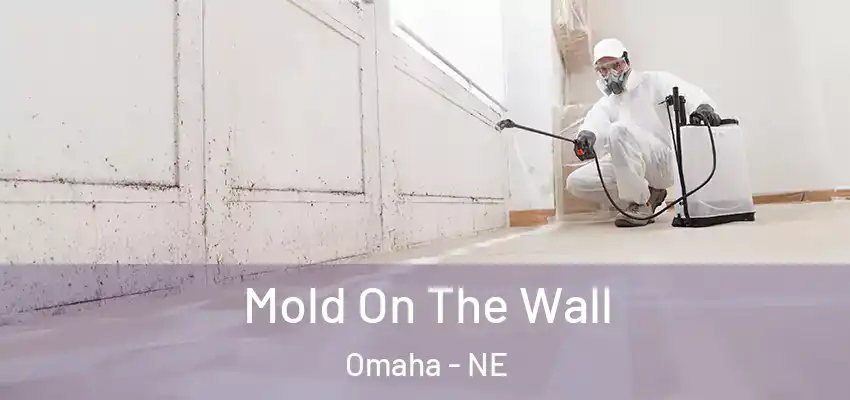  Mold On The Wall Omaha - NE