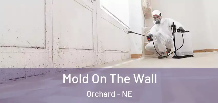  Mold On The Wall Orchard - NE