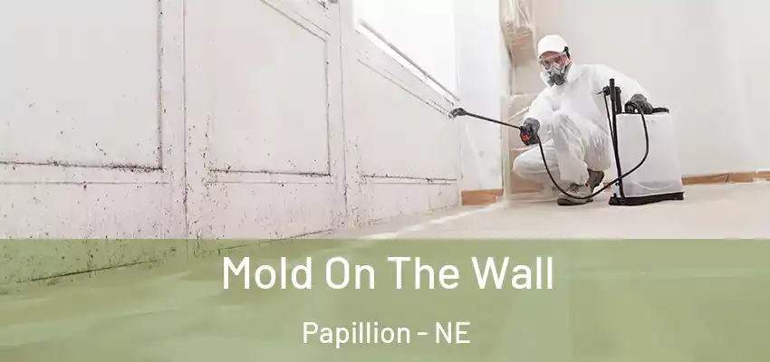 Mold On The Wall Papillion - NE