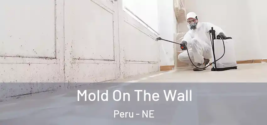Mold On The Wall Peru - NE