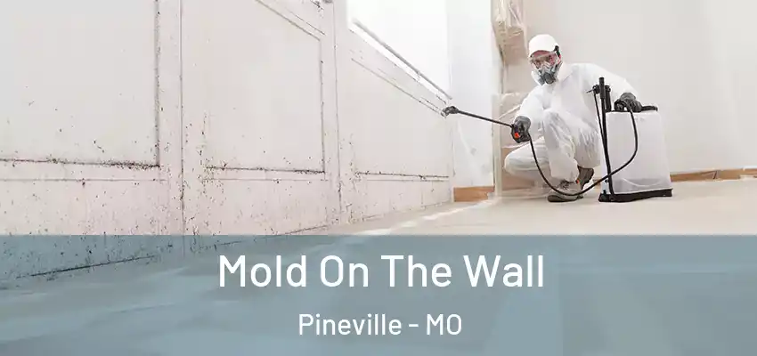 Mold On The Wall Pineville - MO