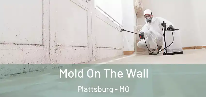 Mold On The Wall Plattsburg - MO