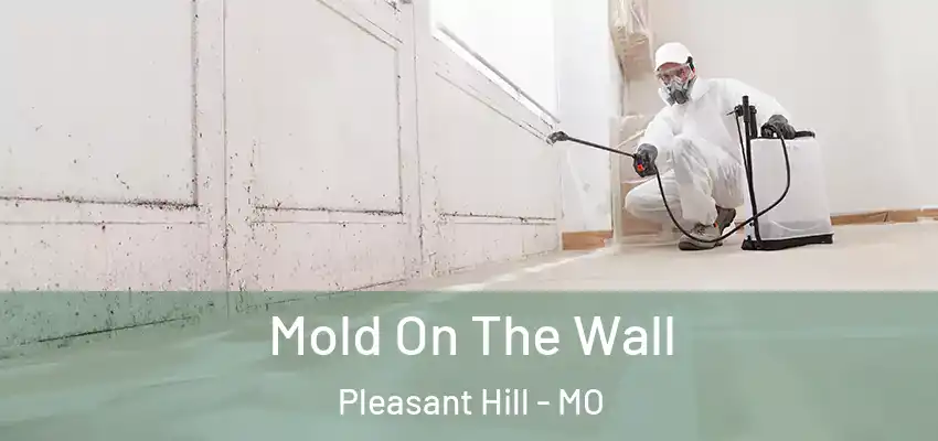  Mold On The Wall Pleasant Hill - MO
