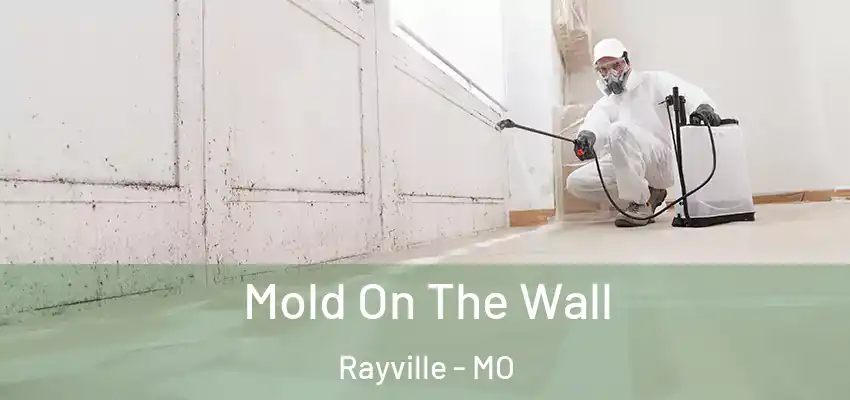  Mold On The Wall Rayville - MO