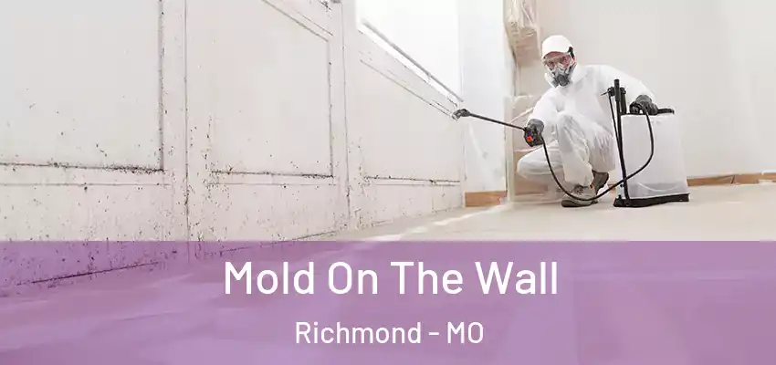  Mold On The Wall Richmond - MO