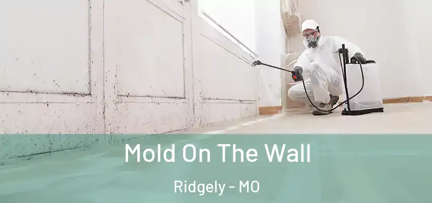 Mold On The Wall Ridgely - MO