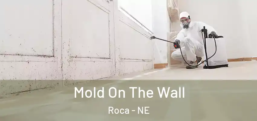 Mold On The Wall Roca - NE