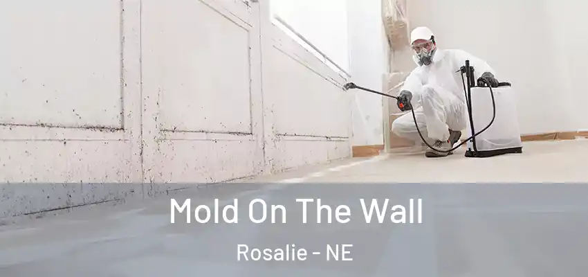  Mold On The Wall Rosalie - NE