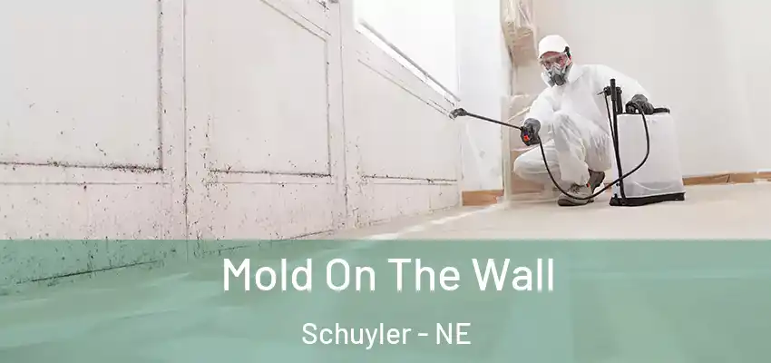  Mold On The Wall Schuyler - NE
