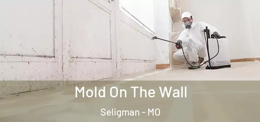  Mold On The Wall Seligman - MO