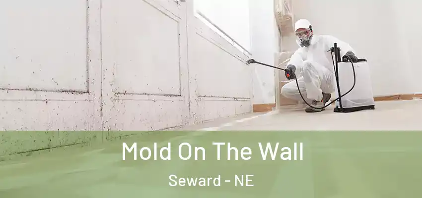 Mold On The Wall Seward - NE