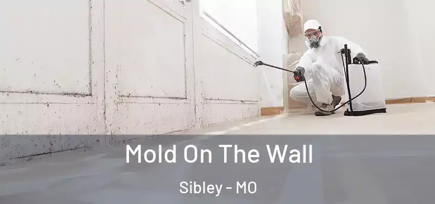 Mold On The Wall Sibley - MO