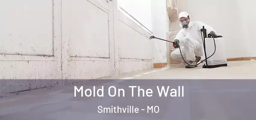  Mold On The Wall Smithville - MO