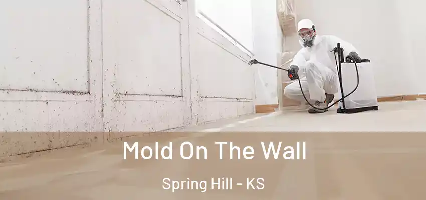  Mold On The Wall Spring Hill - KS