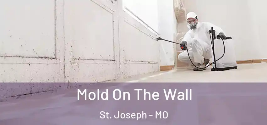  Mold On The Wall St. Joseph - MO