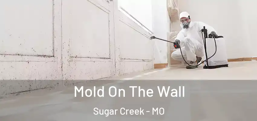  Mold On The Wall Sugar Creek - MO