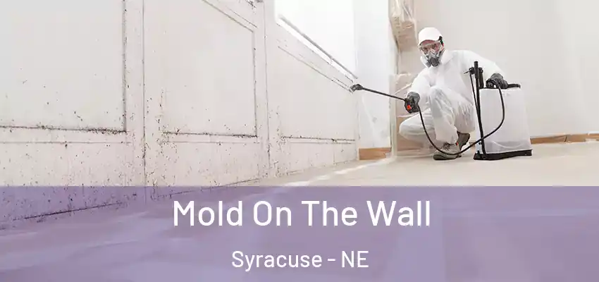  Mold On The Wall Syracuse - NE