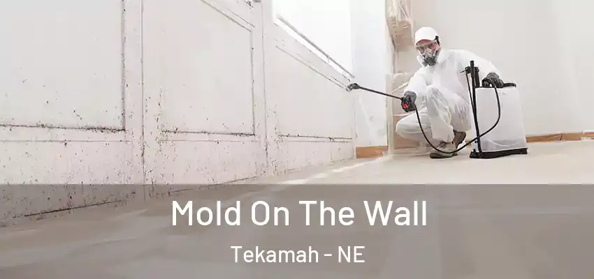  Mold On The Wall Tekamah - NE
