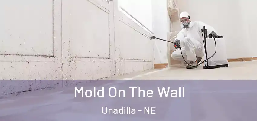  Mold On The Wall Unadilla - NE