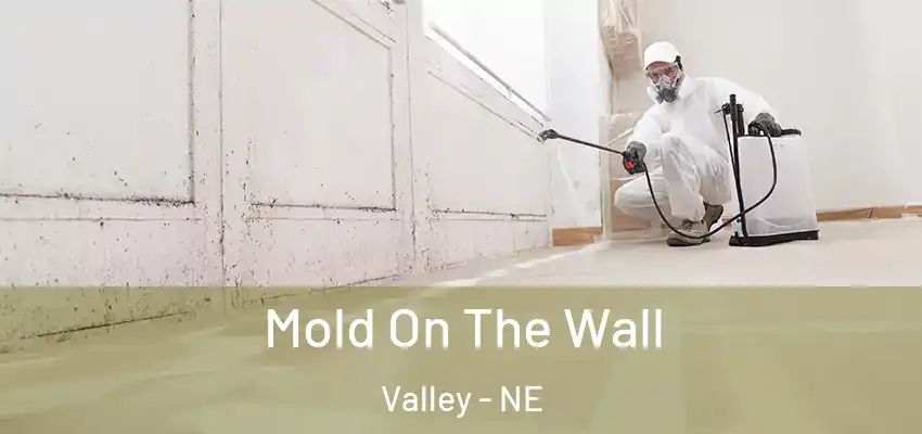 Mold On The Wall Valley - NE